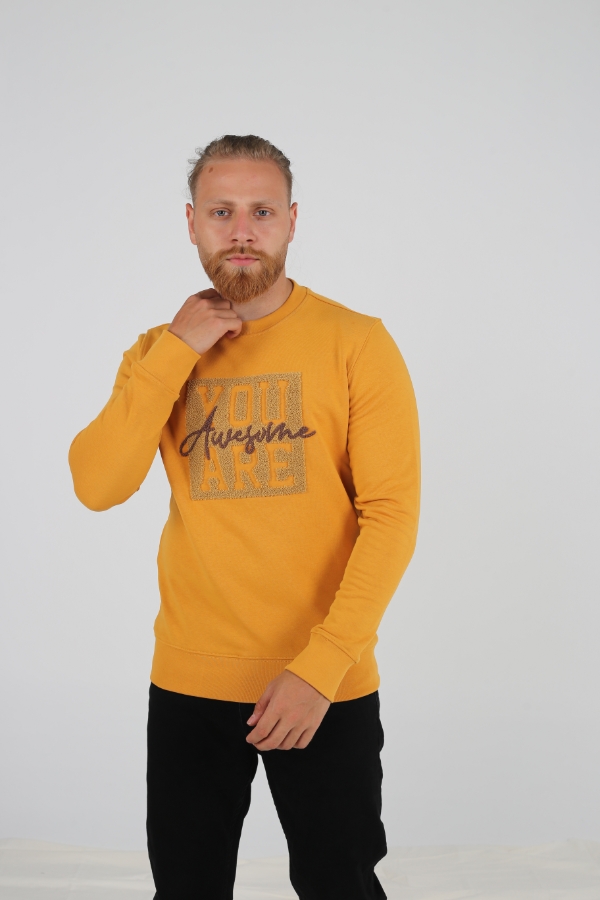 Resim BRANGO SWEATSHIRT HARDAL