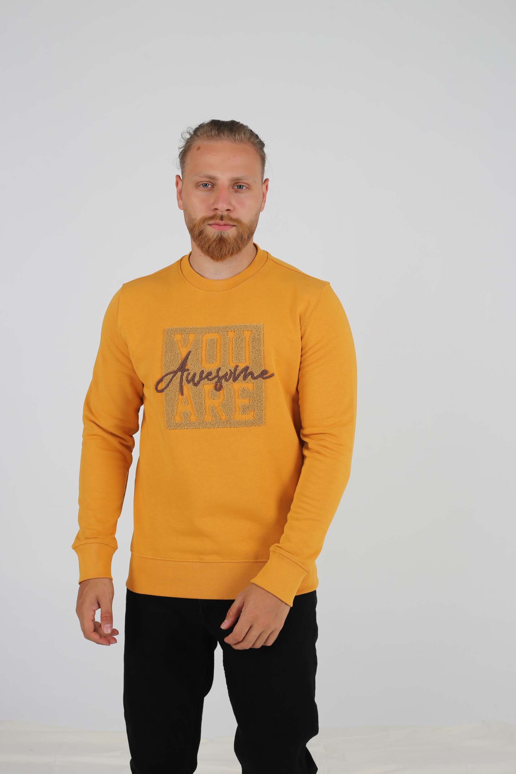 Resim BRANGO SWEATSHIRT HARDAL